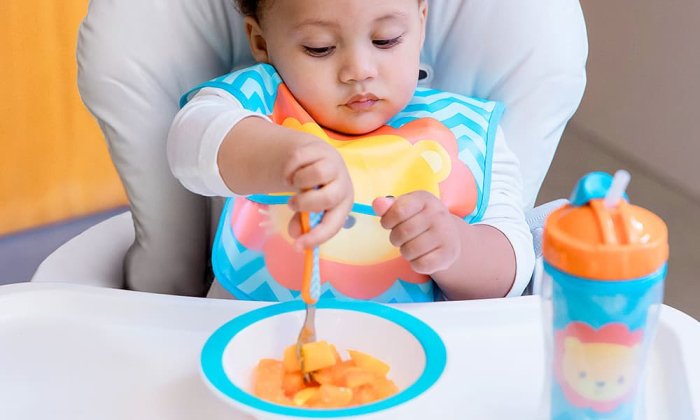 Introdução Alimentar aos 6 Meses: Tudo que as Mamães Precisam Saber