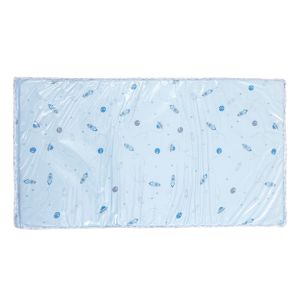 Trocador e Colchonete Papi 70x38cm Impermeável Espaço Azul