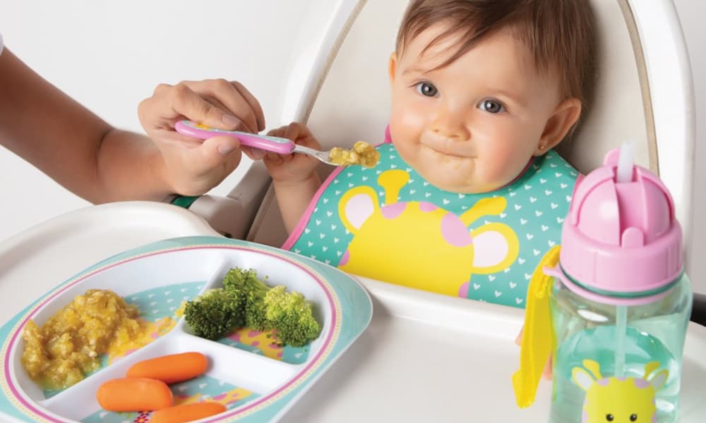 Comida para Bebês: O Guia Definitivo 6 meses a 2 anos